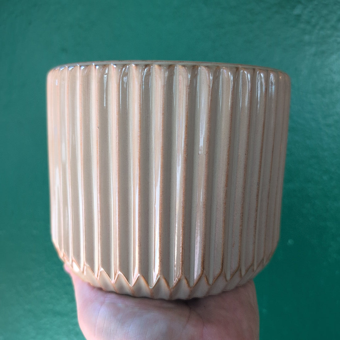Willow Ribbed Sepia Pot