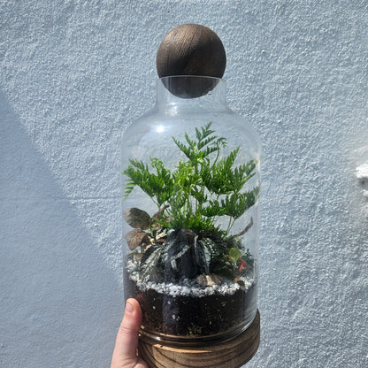 Glass closed terrarium with round cork -3 sizes available