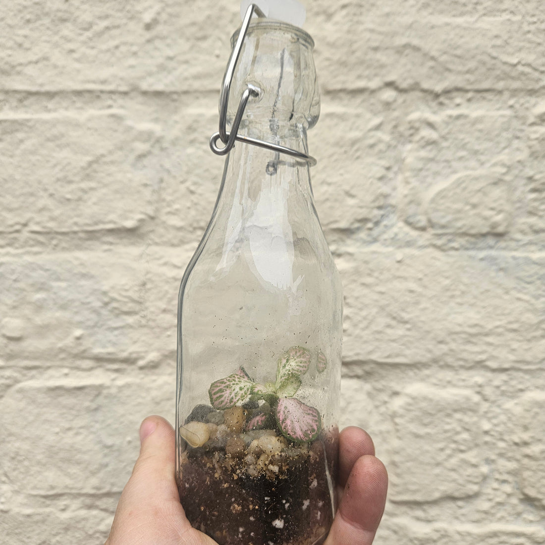 Kilner Bottle Terrarium