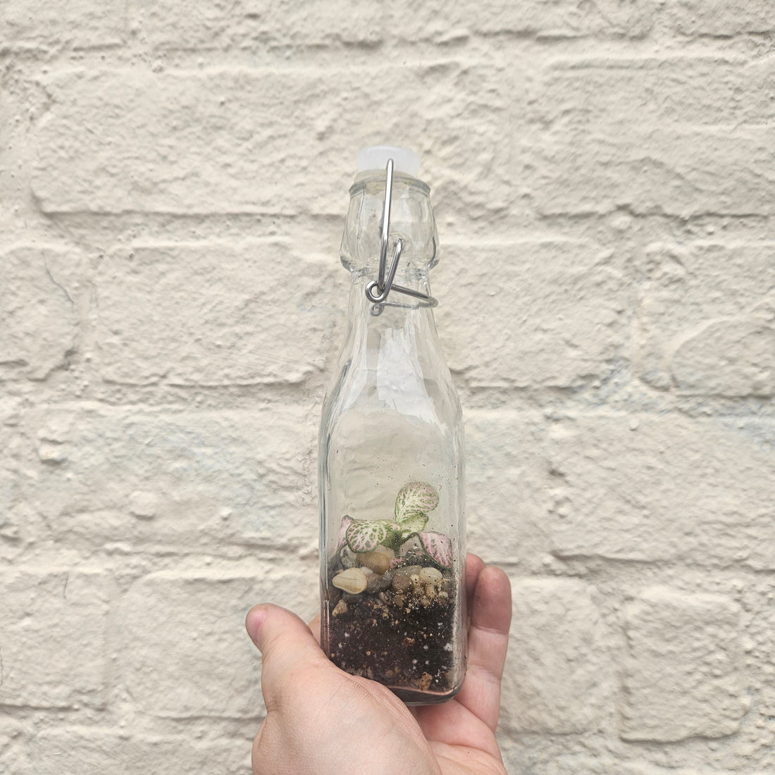 Kilner Bottle Terrarium