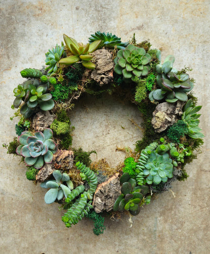 10/10/26 at 11am Succulent Living Wreath Workshop