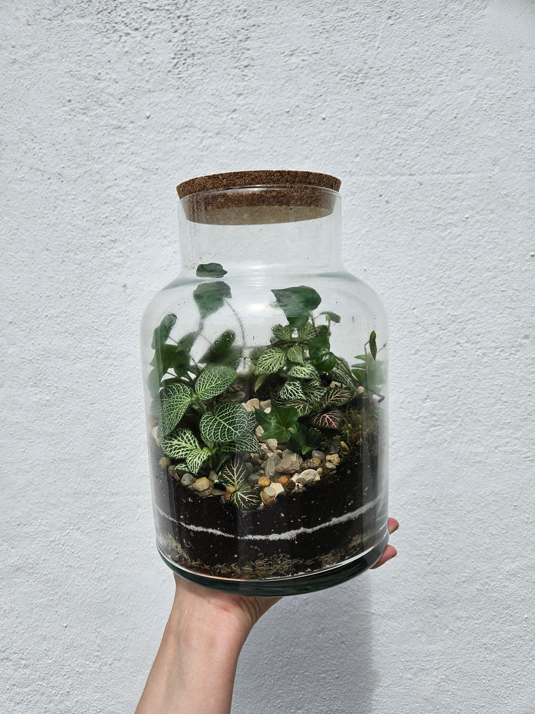 Large Closed Glass Terrarium