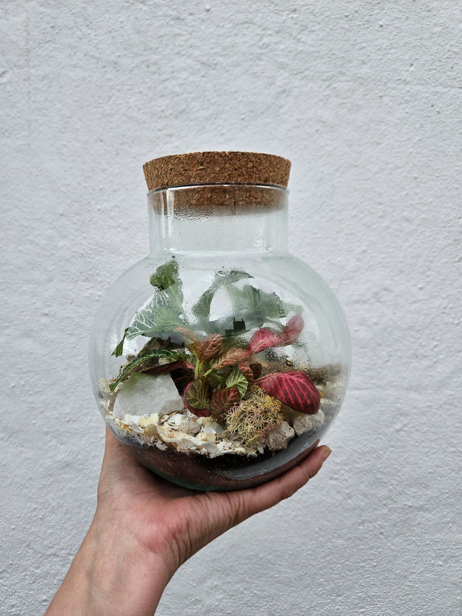 Small Round Glass Closed Terrarium