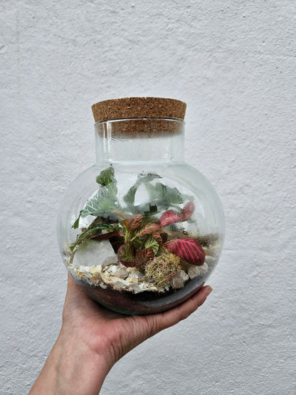 Small Round Glass Closed Terrarium