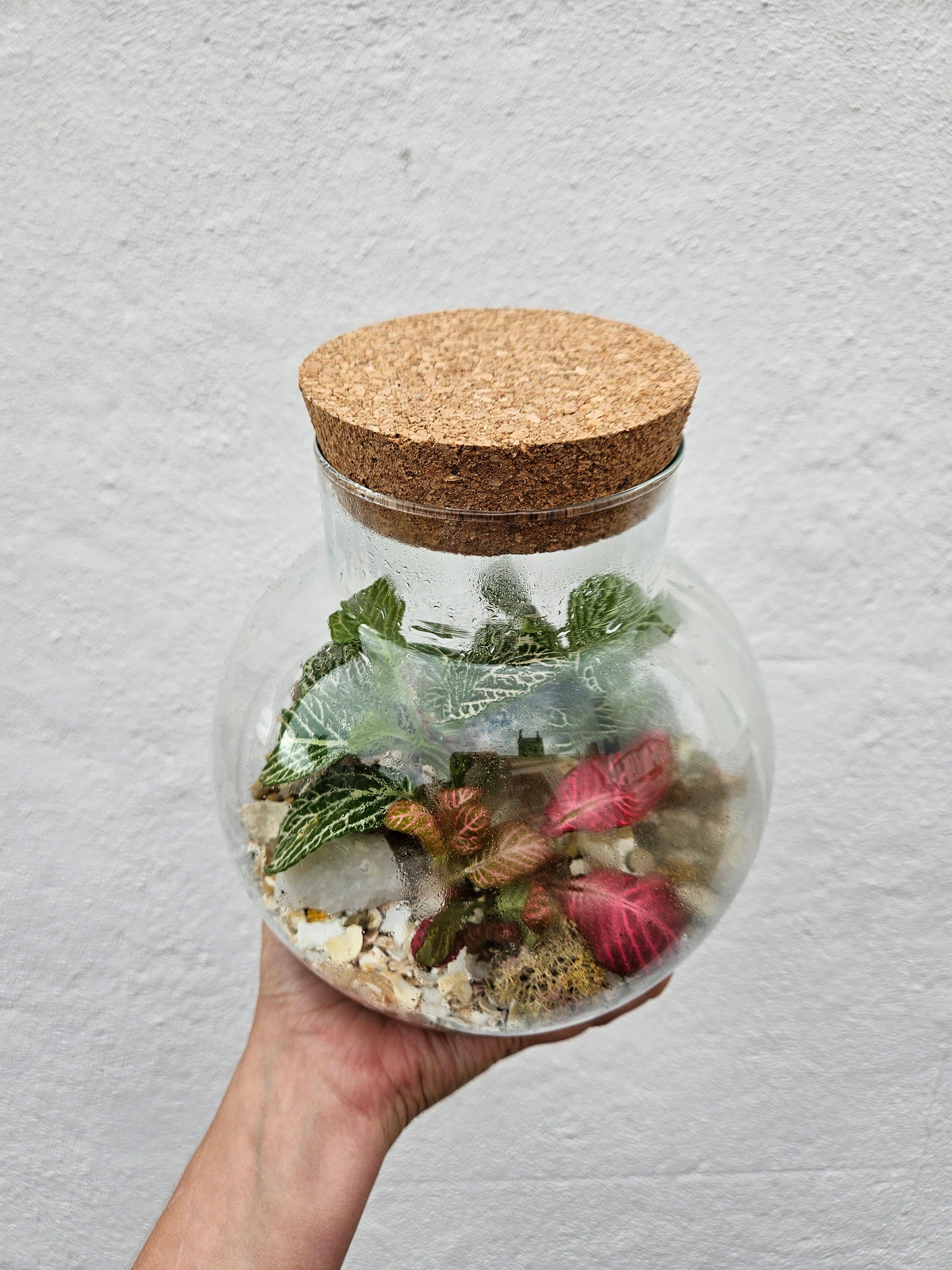 Small Round Glass Closed Terrarium