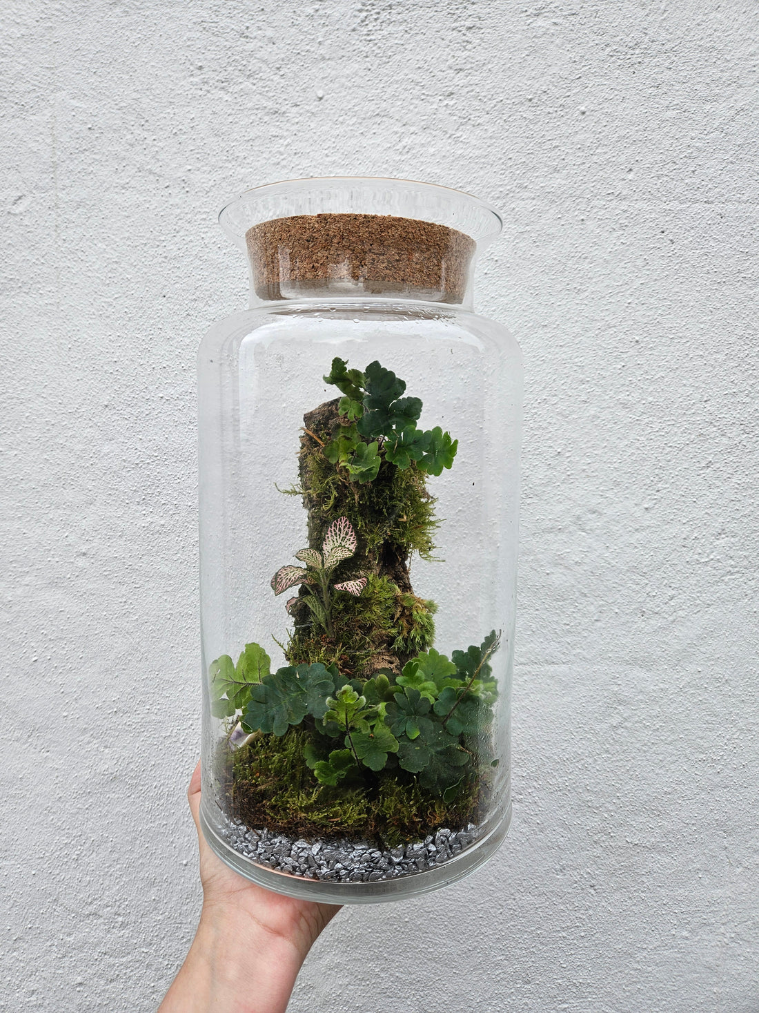 Tall Planted Cork Terrarium