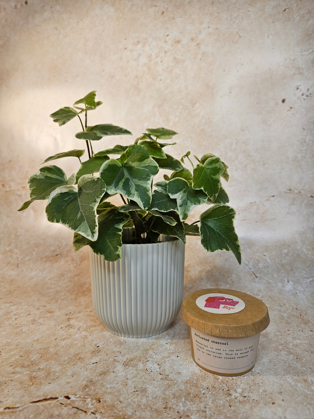 WHOLESALE ACTIVATED CHARCOAL