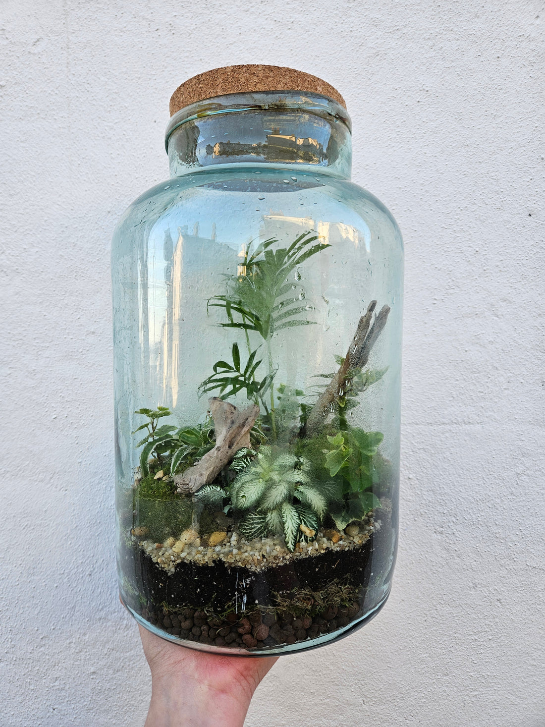 Tall Vintage Glass Closed Terrarium with cork