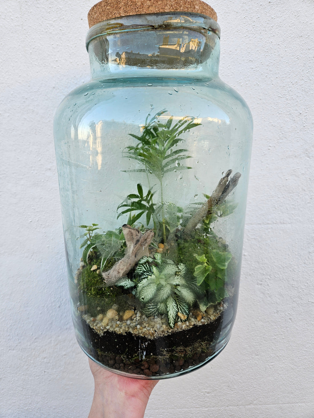 Tall Vintage Glass Closed Terrarium with cork