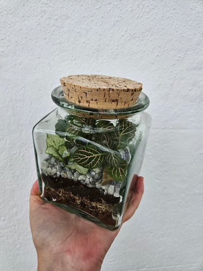 Short Glass jar with cork Closed Terrarium