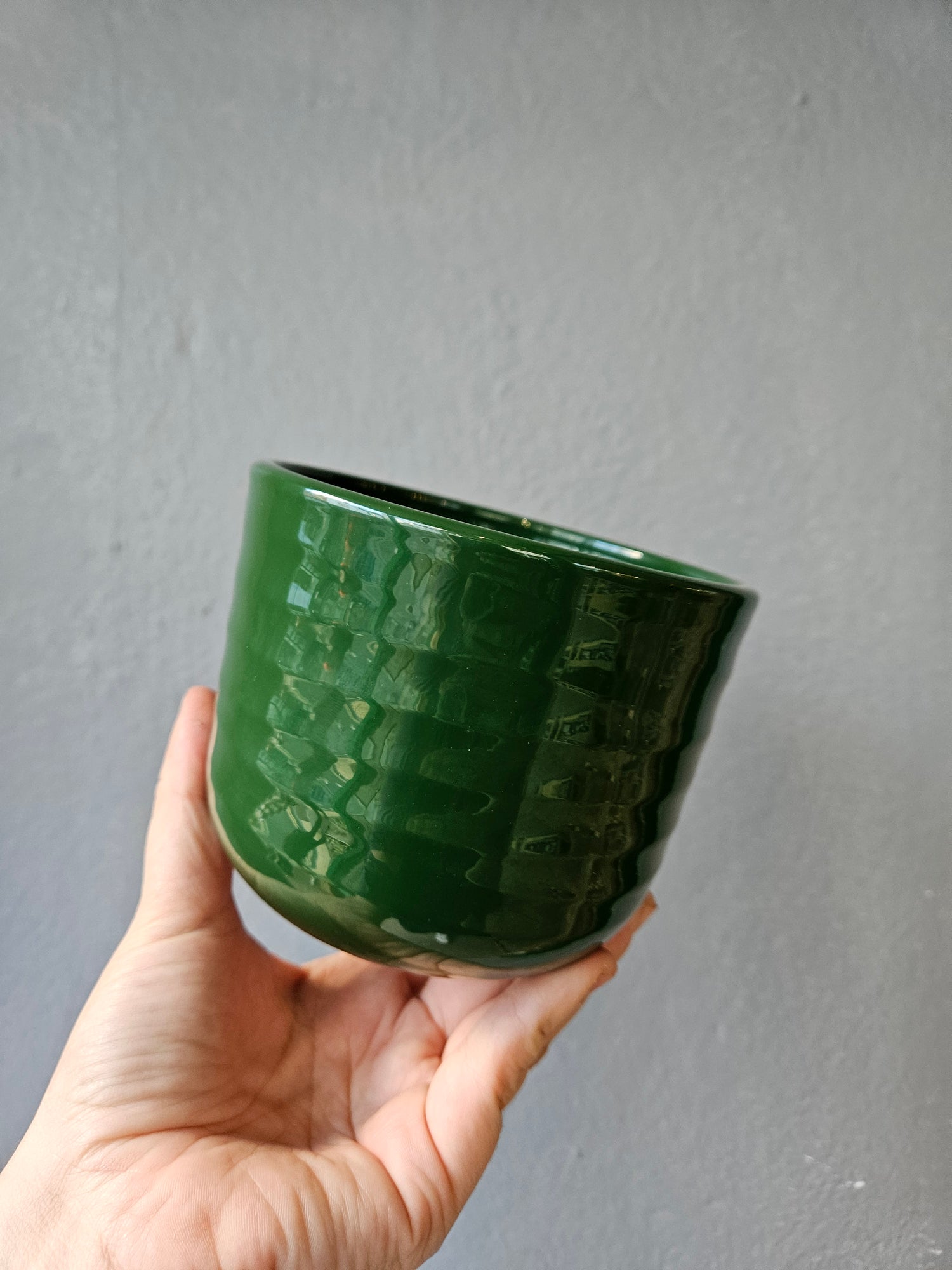 Ivyline Poinsettia Ripple Green Pot