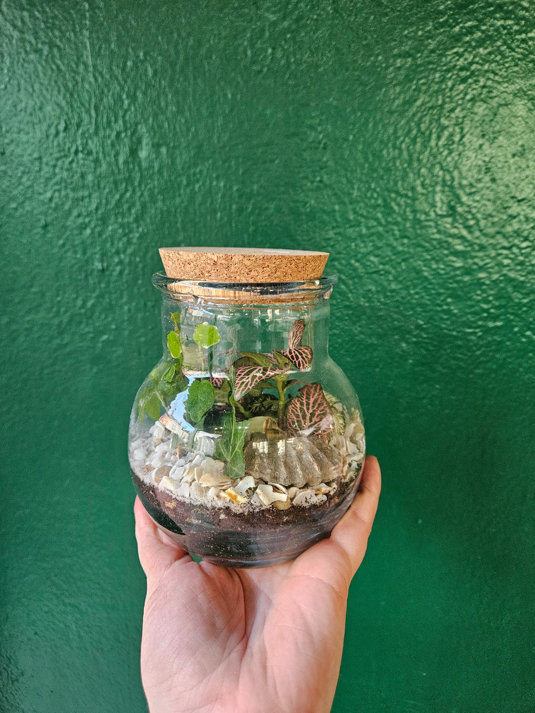 Globe Terrarium -3 Sizes Available