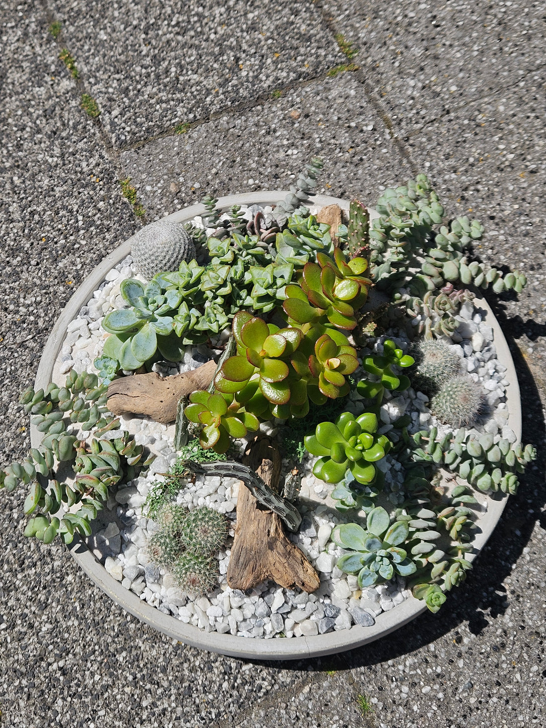 07/11/2026 at 11am Open Terrarium Workshop