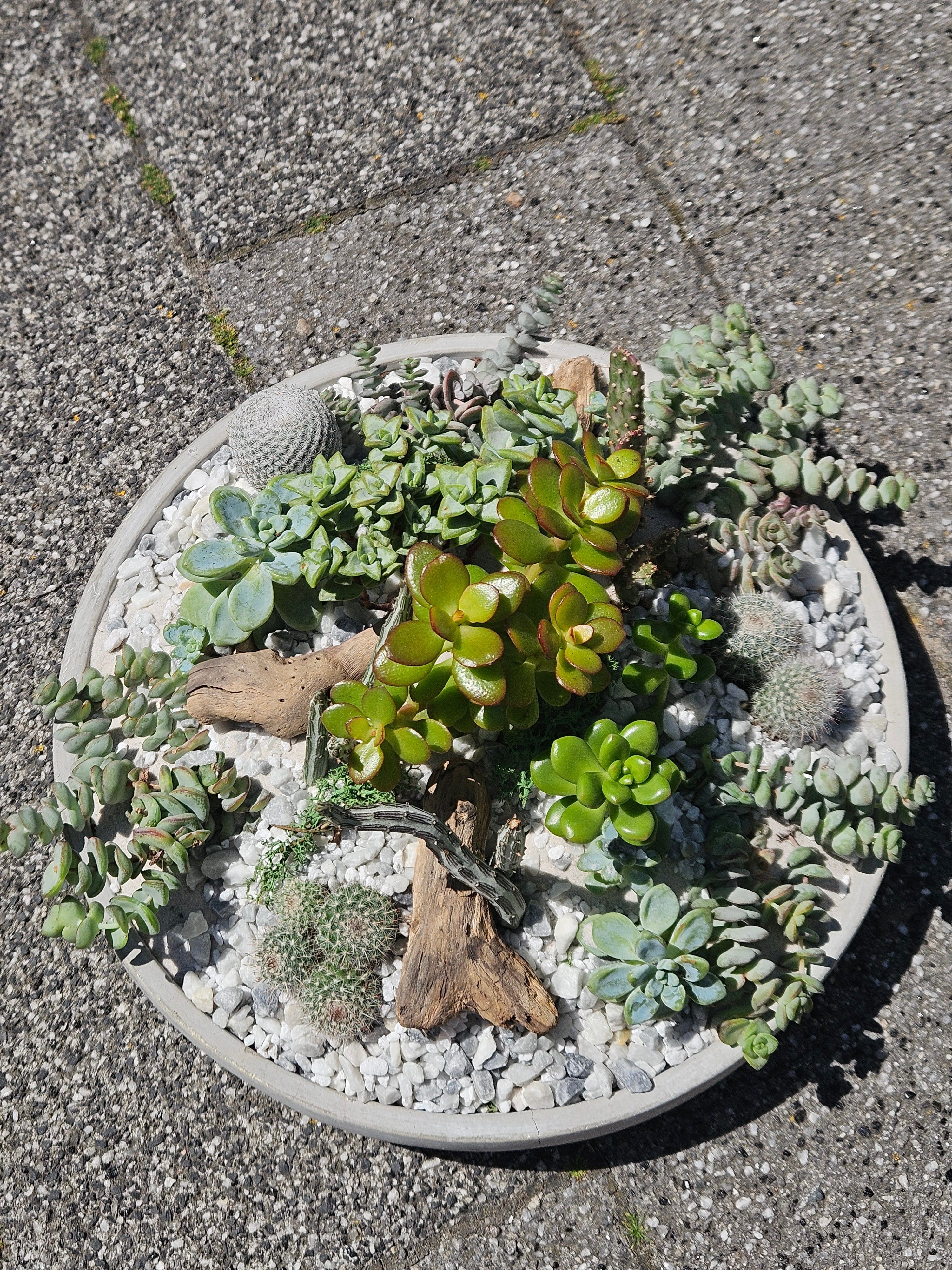 07/11/2026 at 11am Open Terrarium Workshop