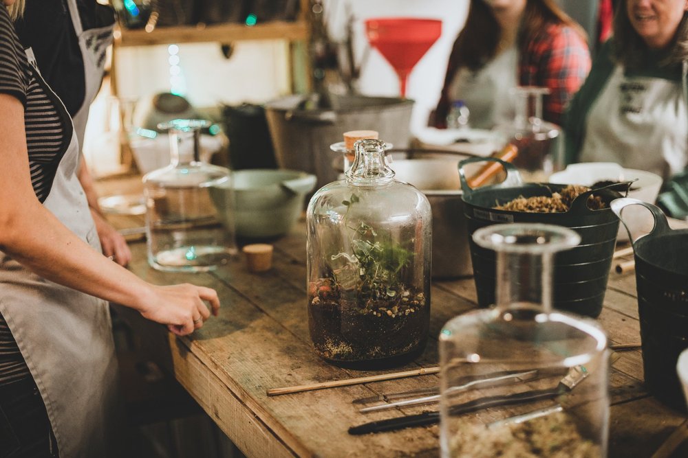 20/07/2025 at 12pm Closed terrarium workshop