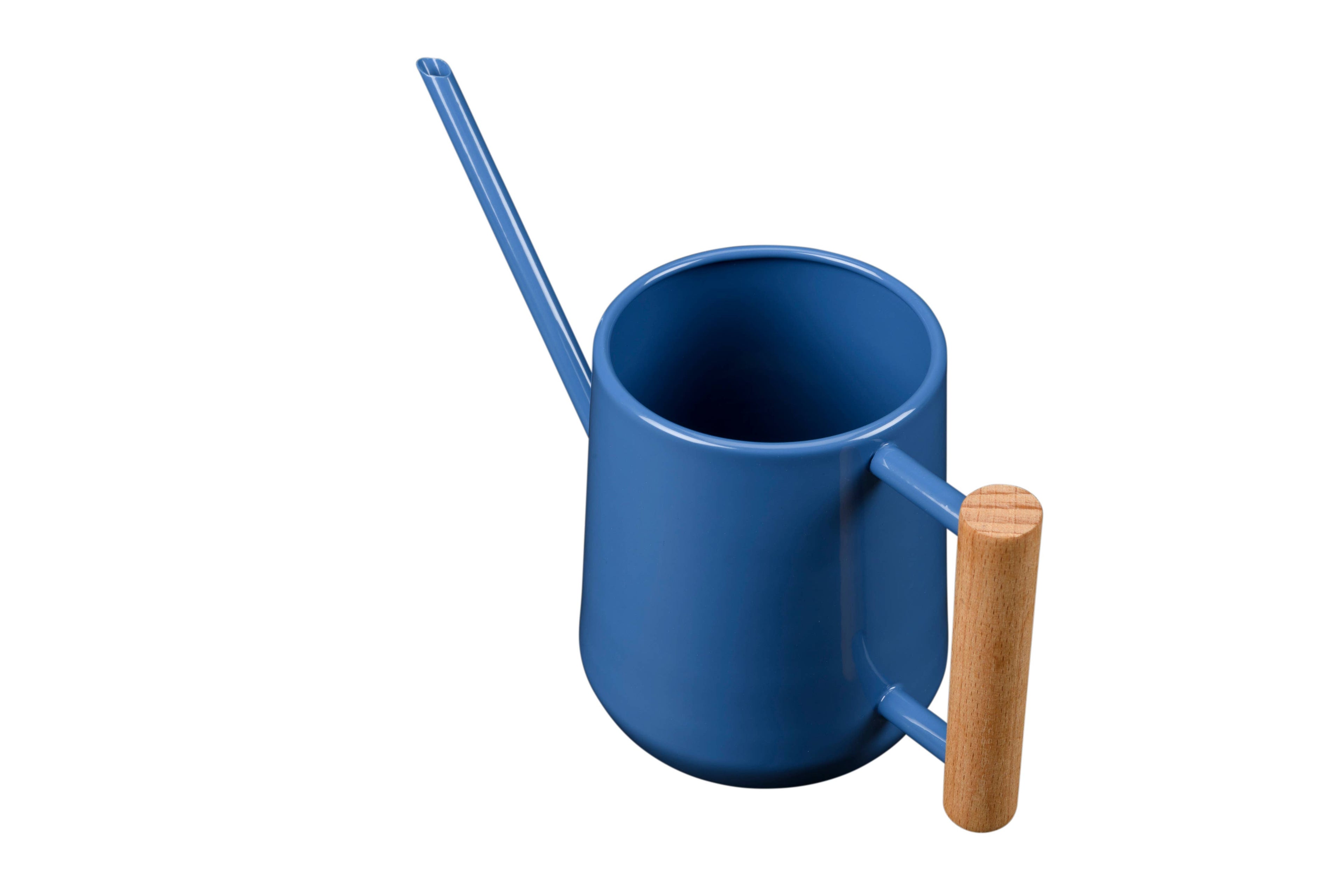 Small Indoor Watering Can