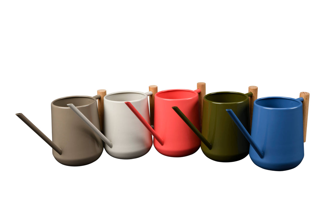 Small Indoor Watering Can