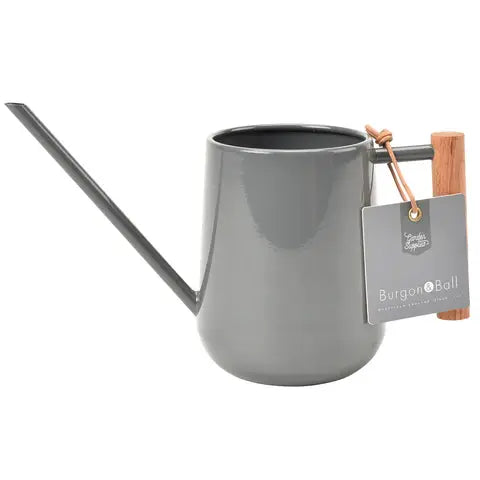 Small Indoor Watering Can