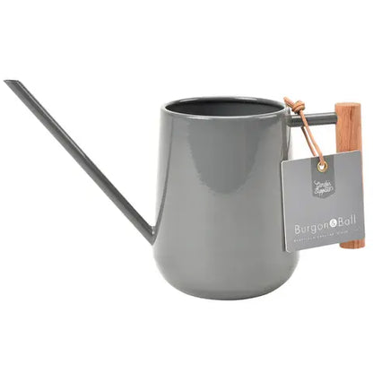 Small Indoor Watering Can