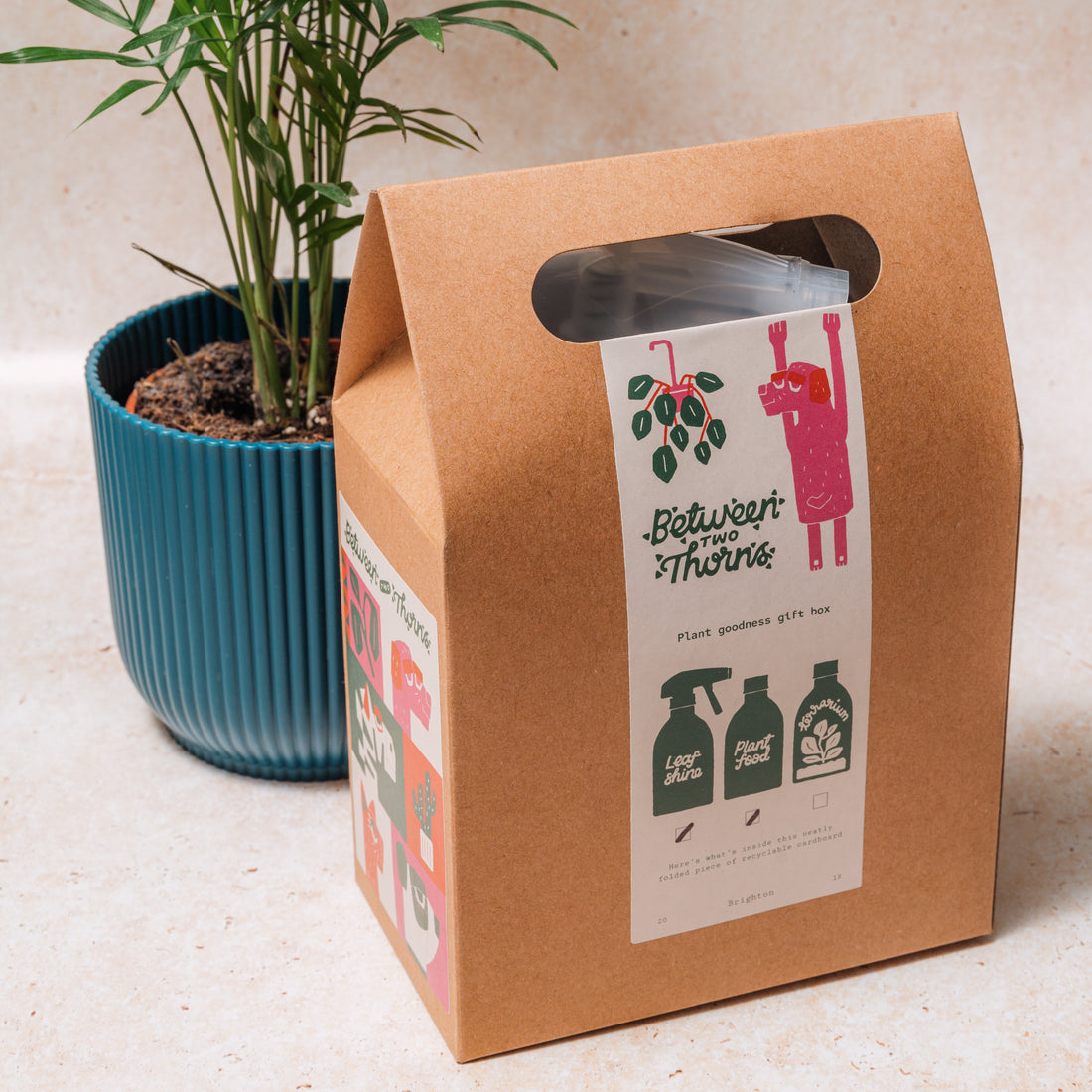 WHOLESALE PLANT GOODNESS GIFT BOX