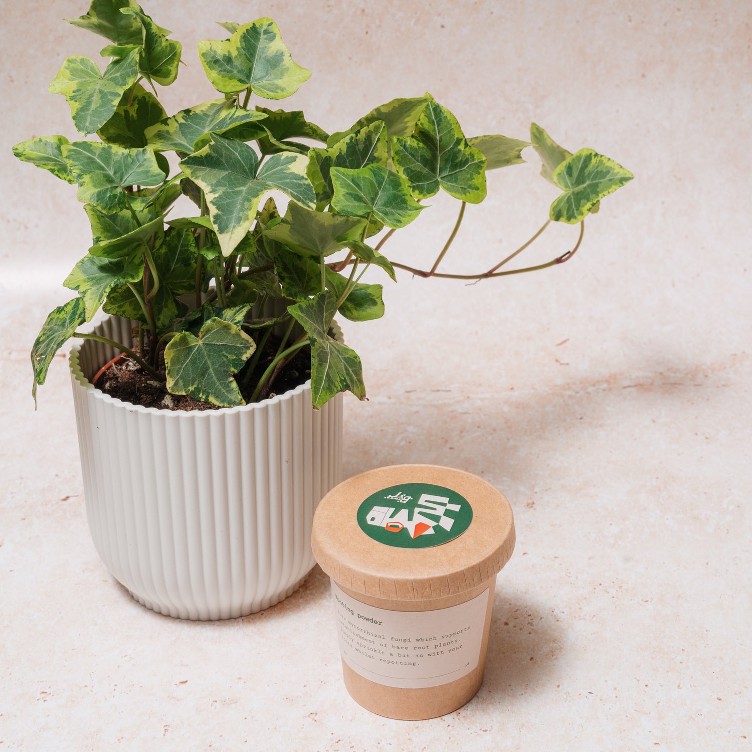 Rooting powder