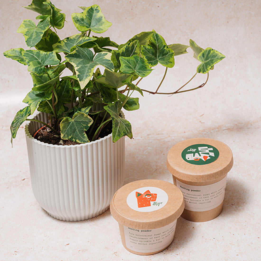 WHOLESALE ROOTING POWDER
