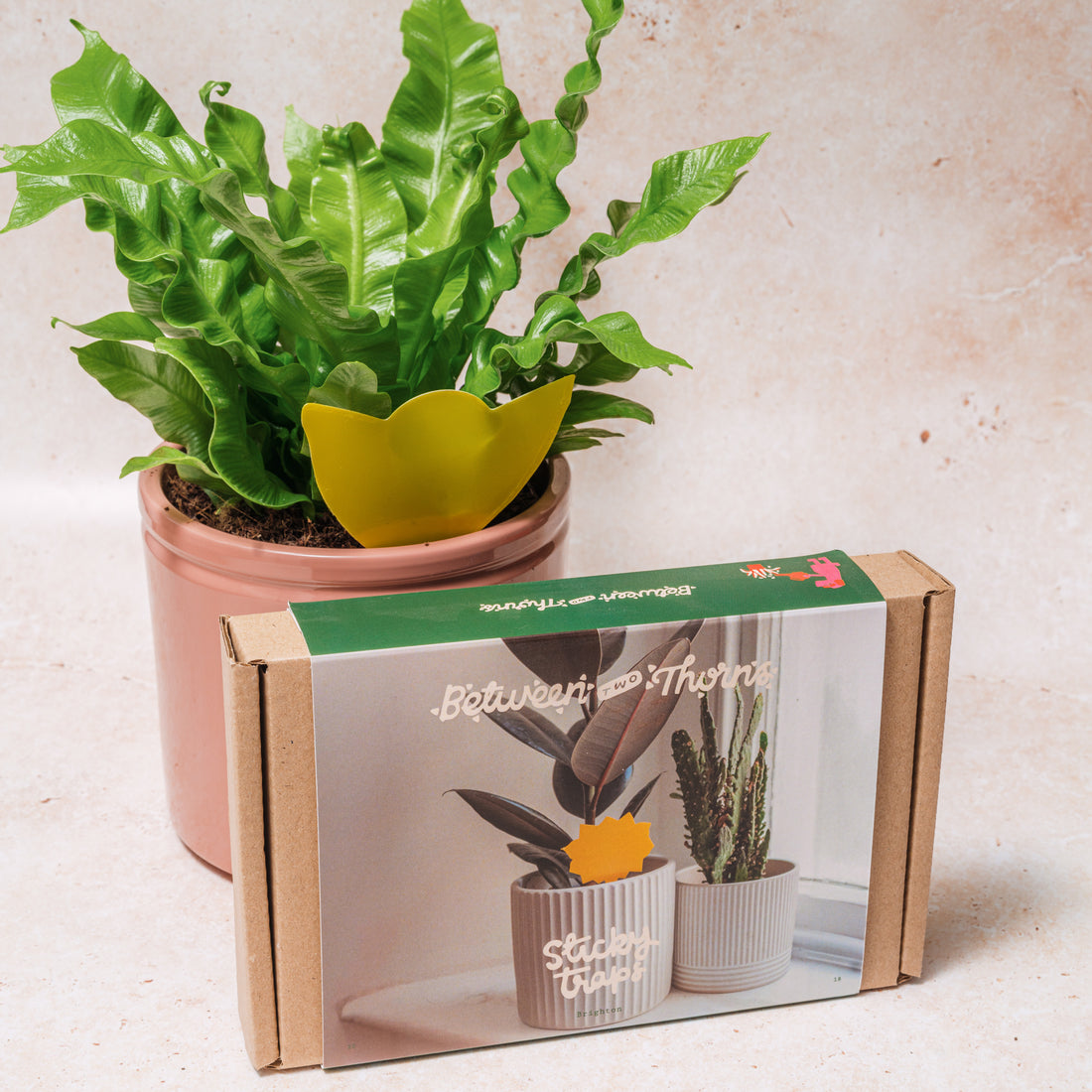 WHOLESALE STICKY TRAPS FOR FUNGUS GNATS