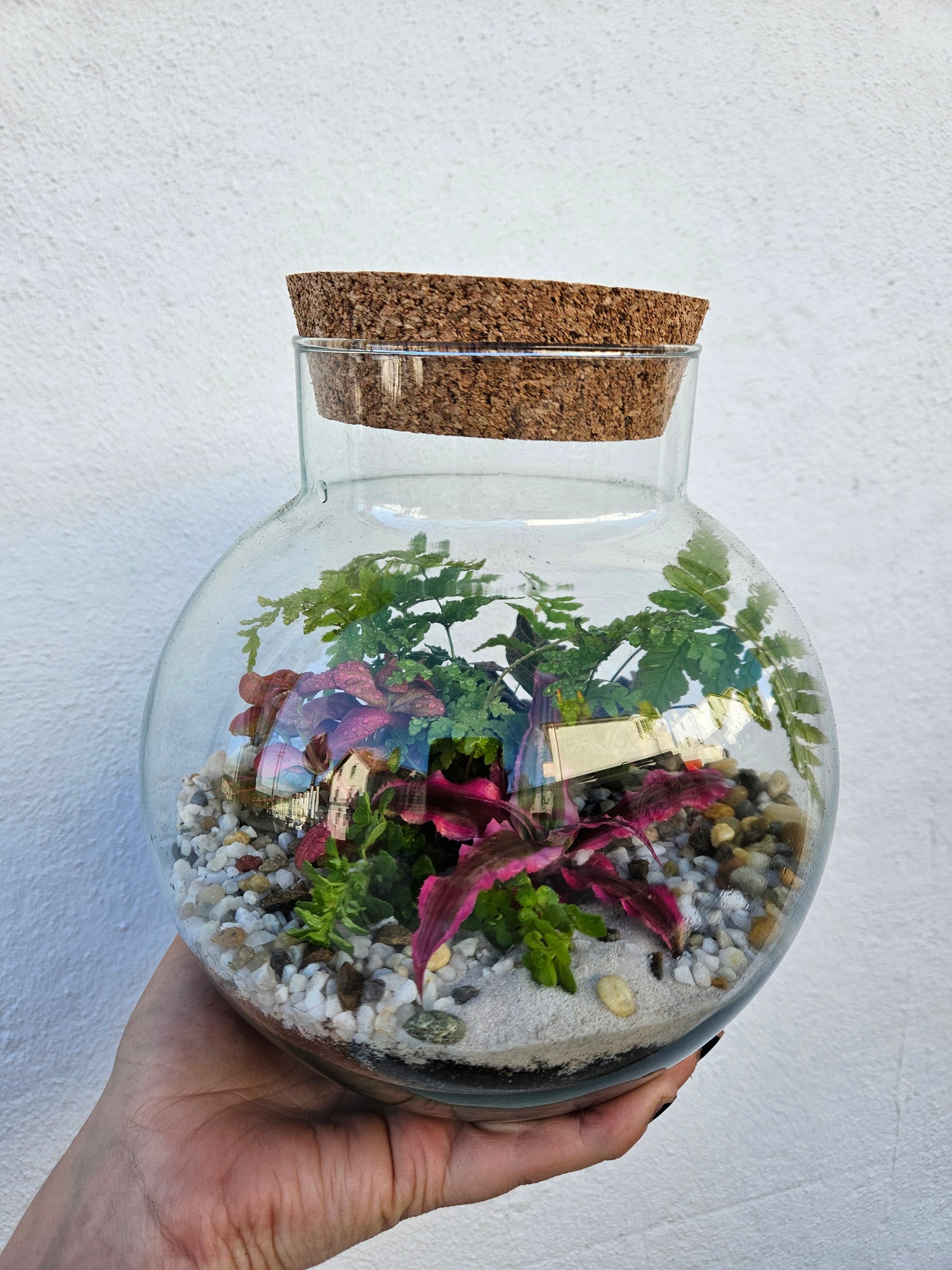 Medium dome shaped closed terrarium with cork