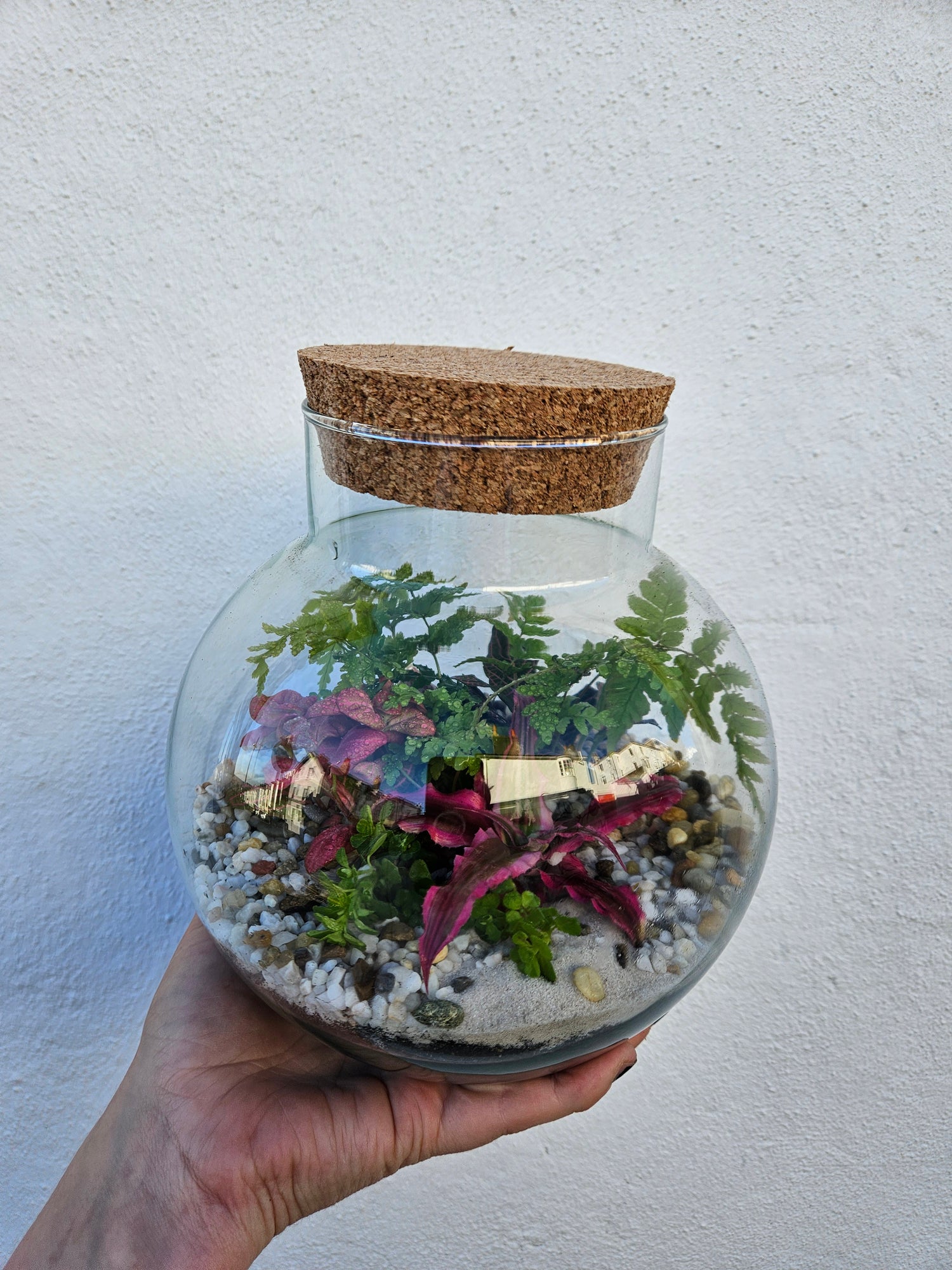 Medium dome shaped closed terrarium with cork