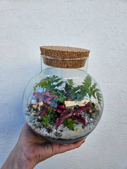 Medium dome shaped closed terrarium with cork