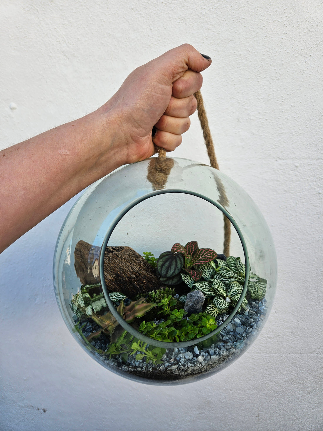Hanging Globe Open Terrarium