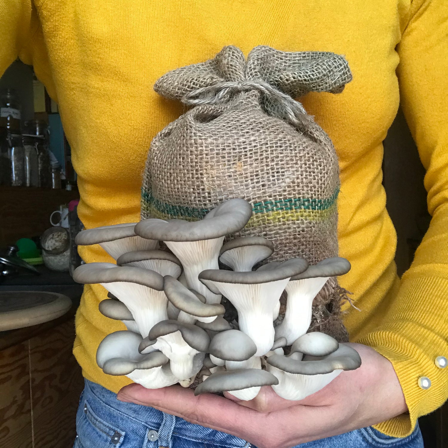 Caley Bros mushroom kits - direct from their workshop to your house!