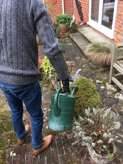 Slug Control Nematodes 100 sqm