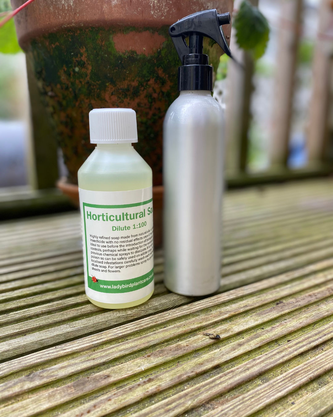 Horticultural Soap