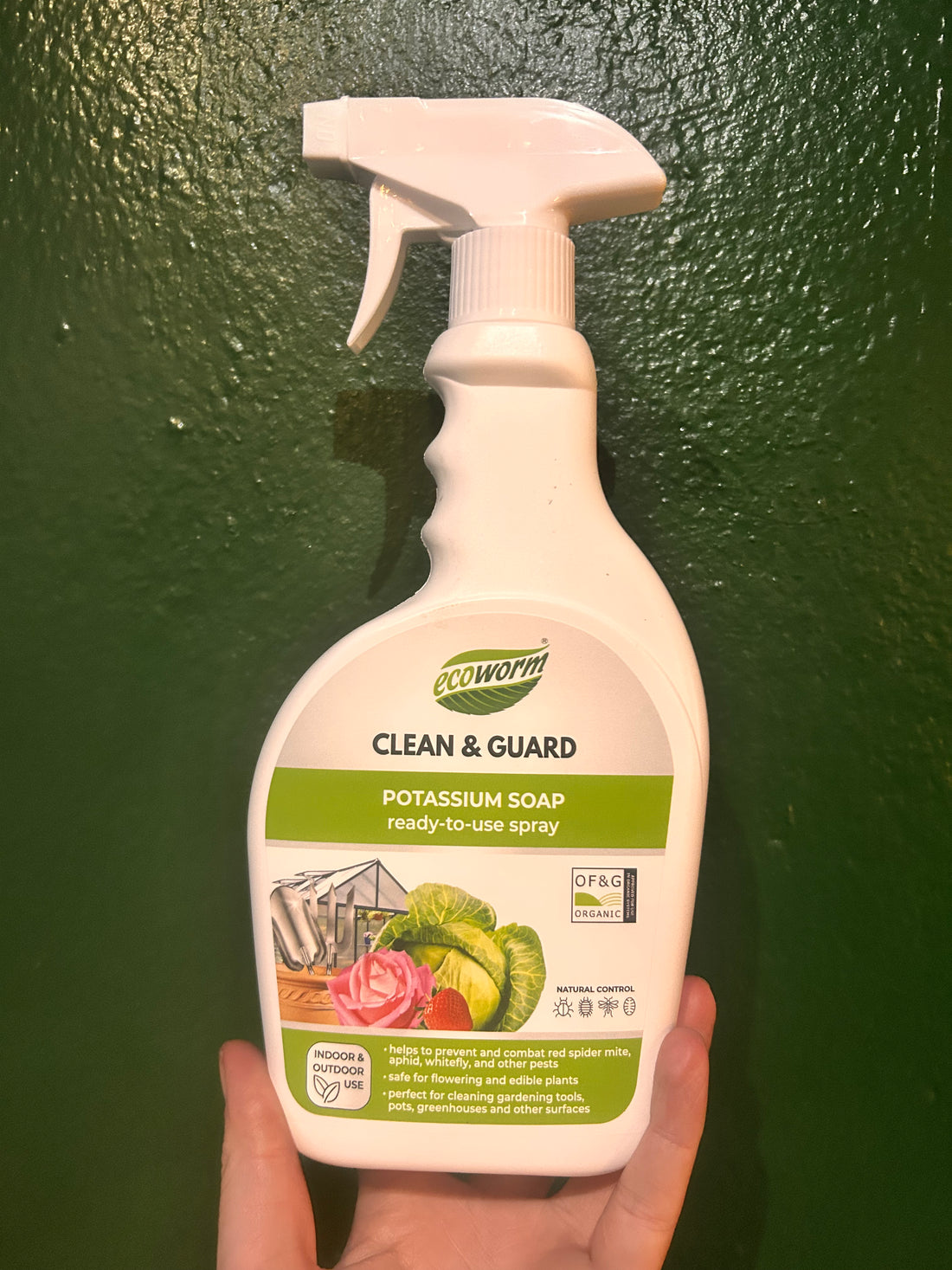 Ecoworm Potassium soap pest treatment (horticultural soap)