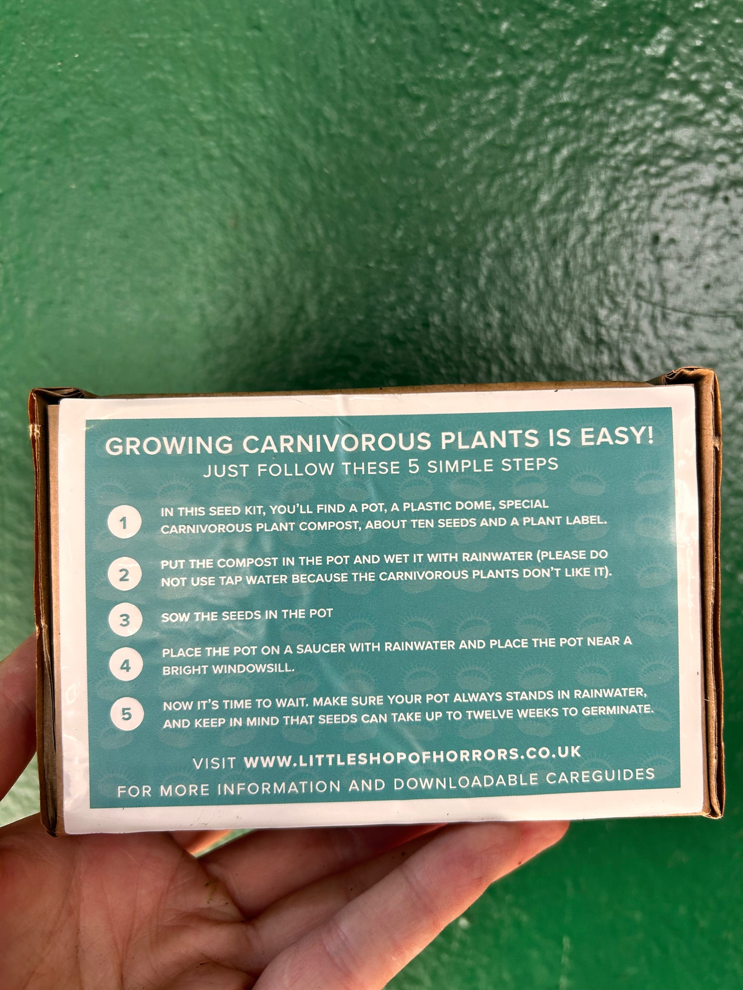 Grow Your own venus flytrap kit