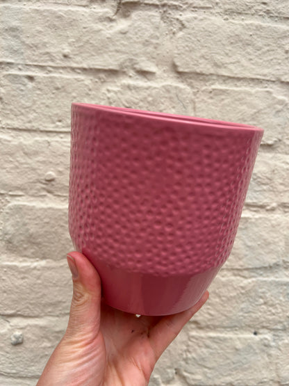 Variety of ceramic pots to fit 12cm nursery pots