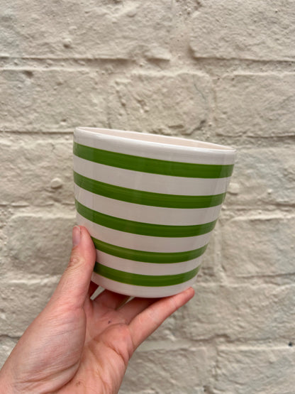 Variety of ceramic pots to fit 12cm nursery pots