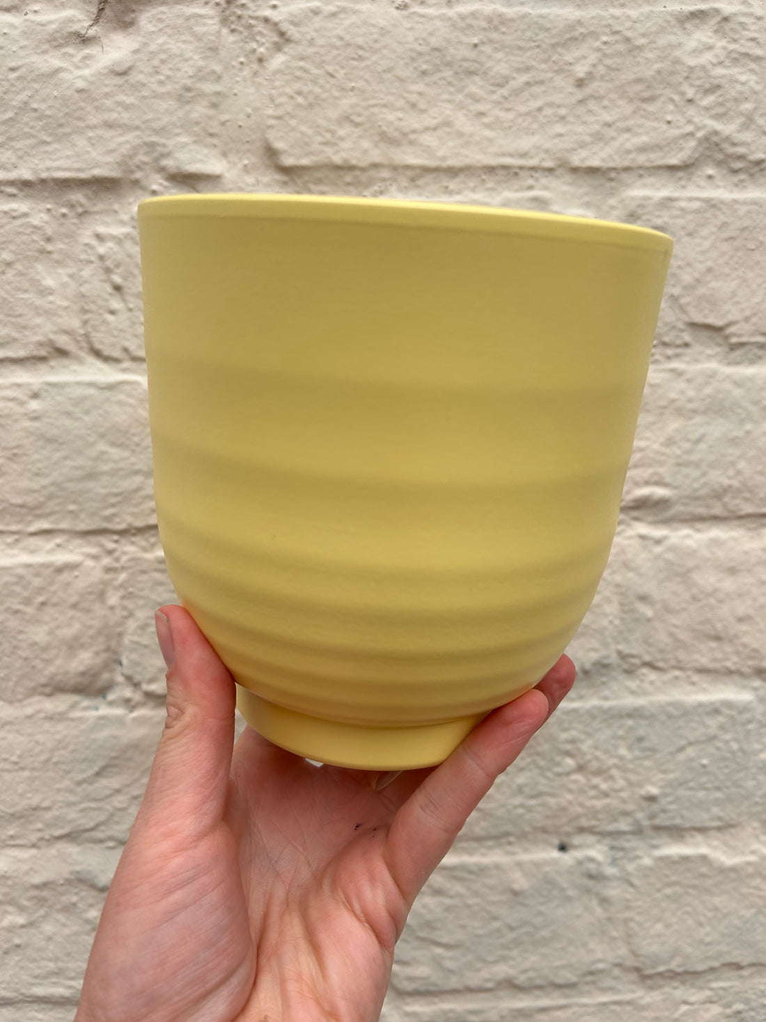 Variety of ceramic pots to fit 12cm nursery pots