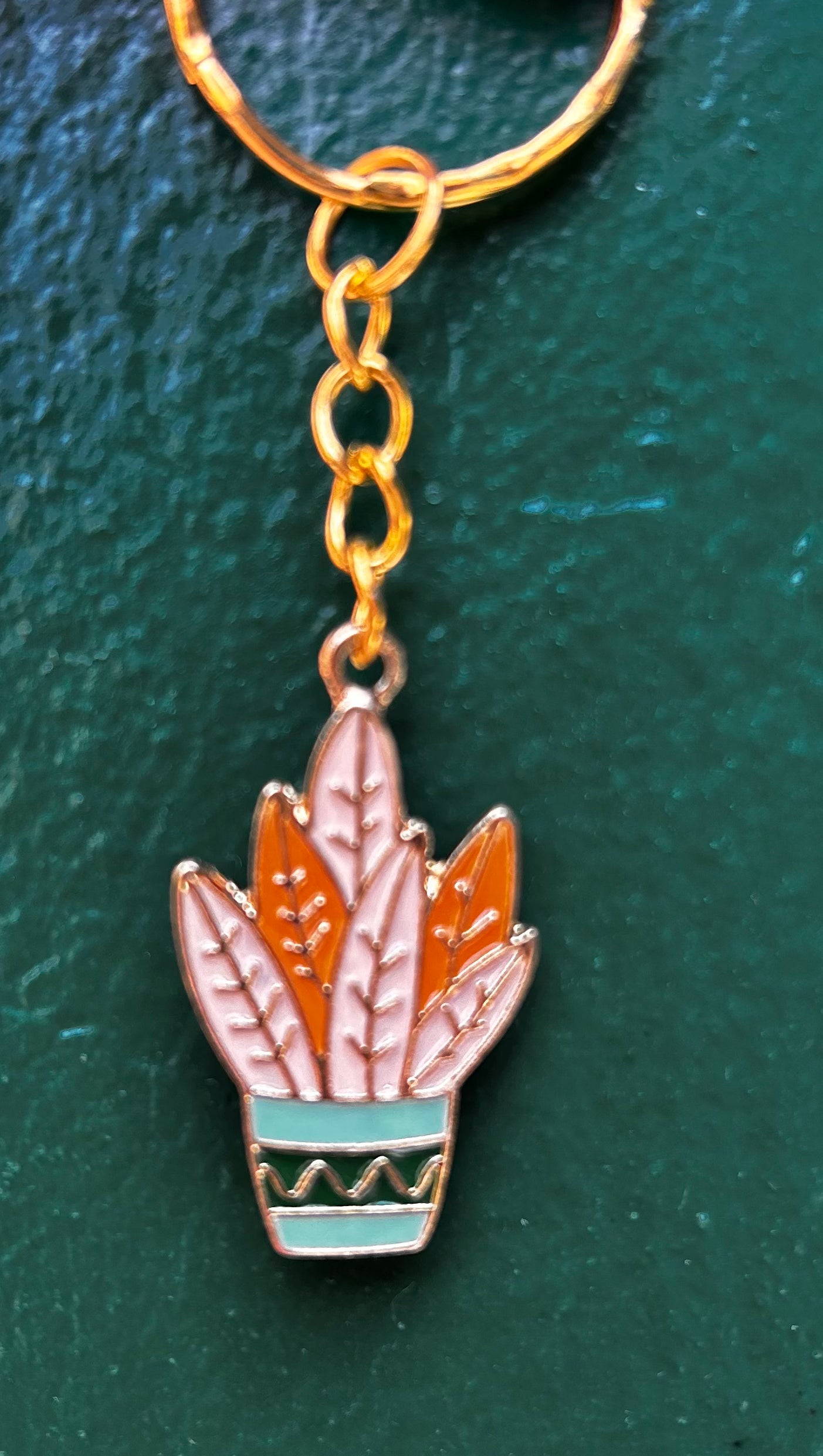 Houseplant Keyring&