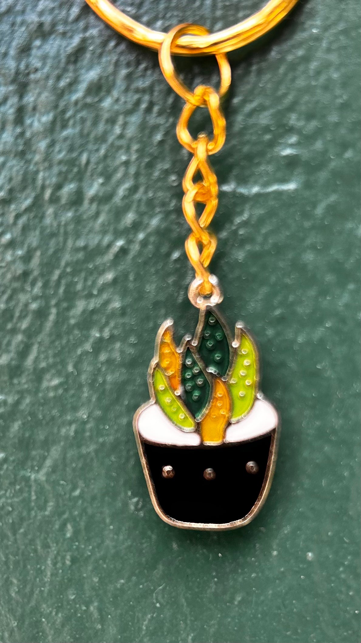 Houseplant Keyring&