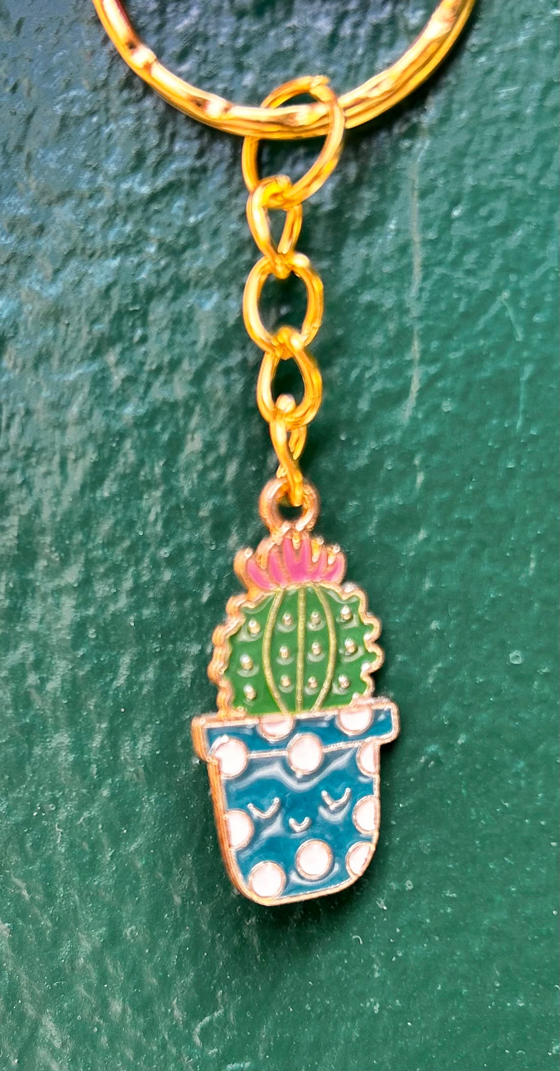 Houseplant Keyring&