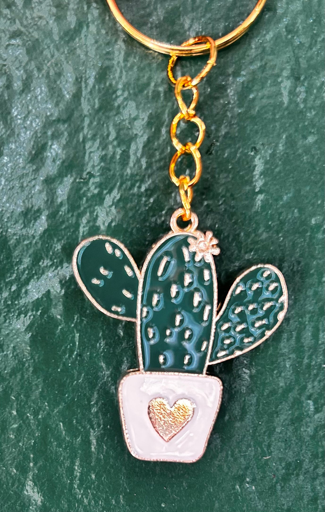 Houseplant Keyring&