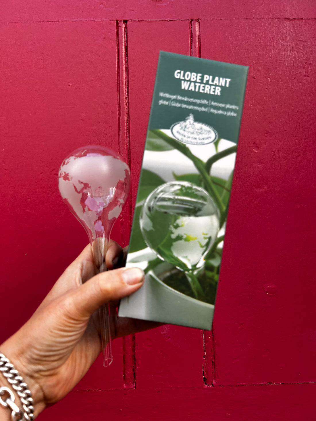 Globe plant waterer - watering spike