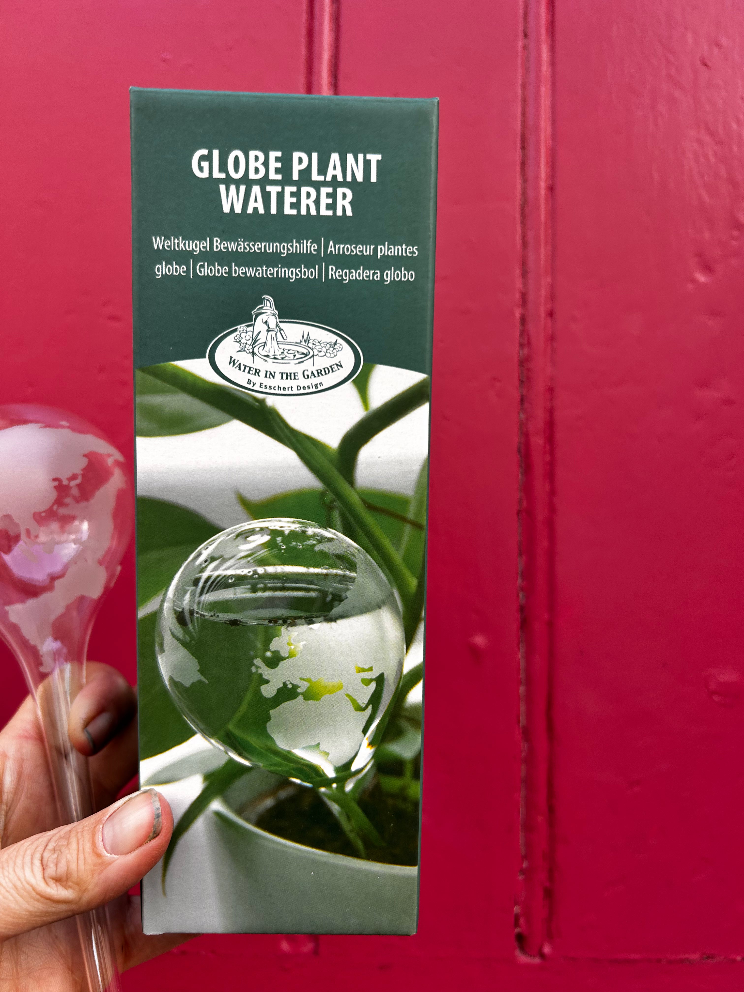 Globe plant waterer - watering spike