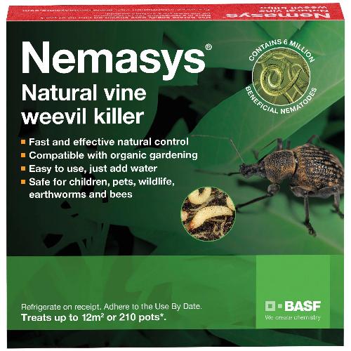 Vine Weevil Control - Nematodes