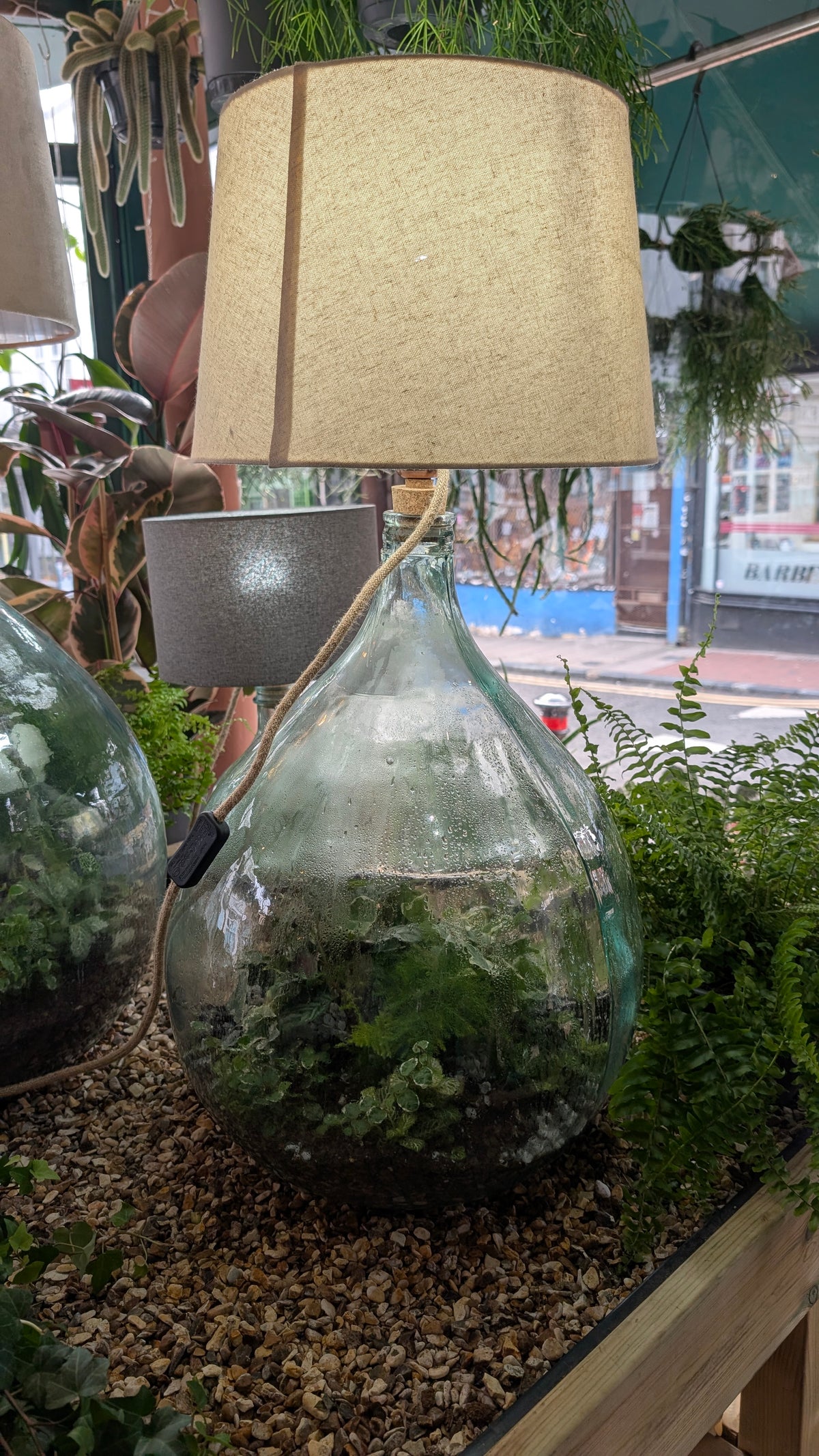 Terrarium Lamp