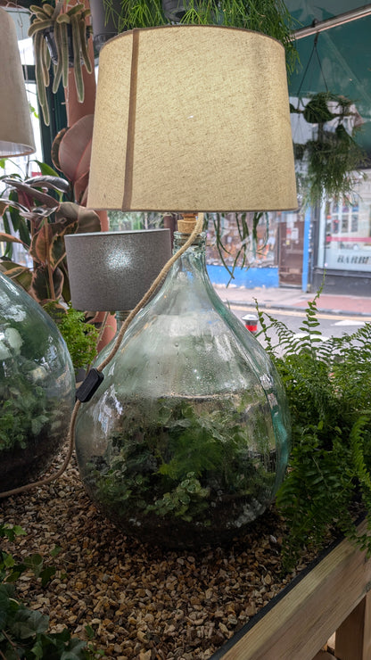 Terrarium Lamp