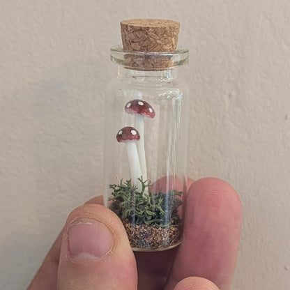 Mini Closed Mushroom Terrarium
