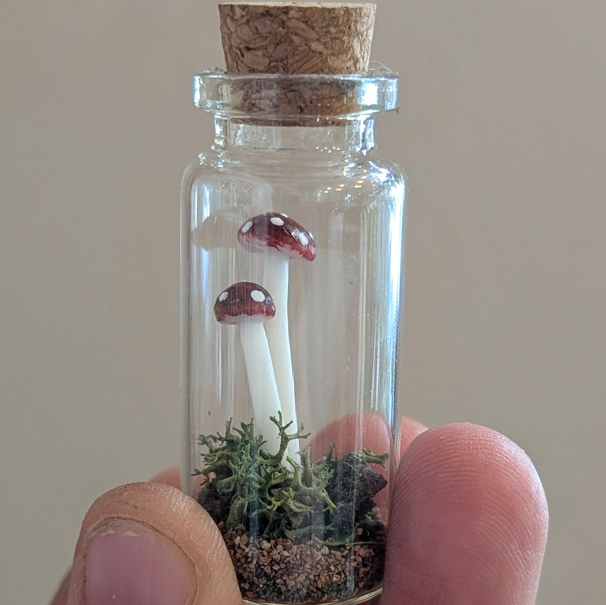 Mini Closed Mushroom Terrarium